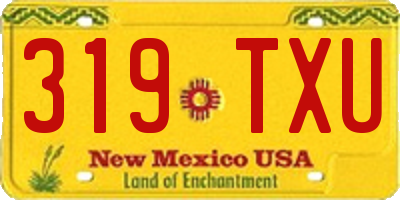 NM license plate 319TXU