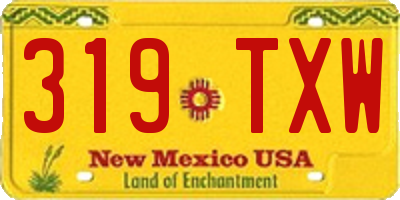 NM license plate 319TXW