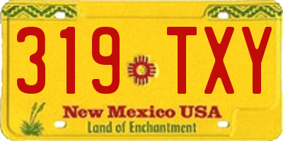 NM license plate 319TXY