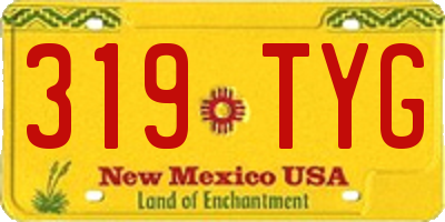 NM license plate 319TYG