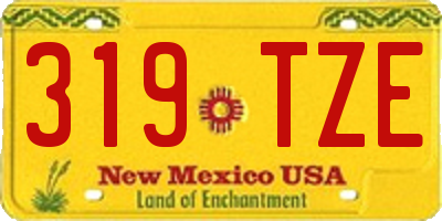 NM license plate 319TZE