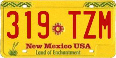 NM license plate 319TZM