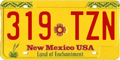 NM license plate 319TZN