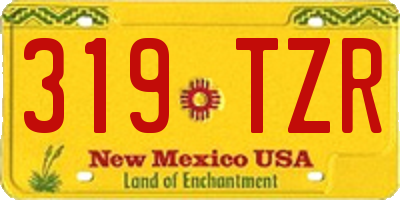 NM license plate 319TZR