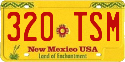 NM license plate 320TSM
