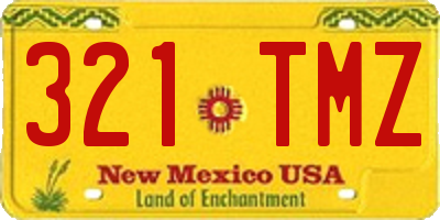 NM license plate 321TMZ