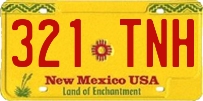 NM license plate 321TNH