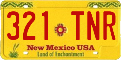 NM license plate 321TNR