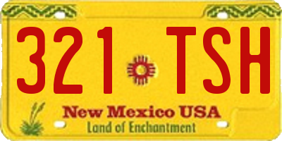 NM license plate 321TSH