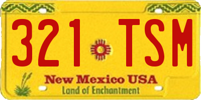 NM license plate 321TSM