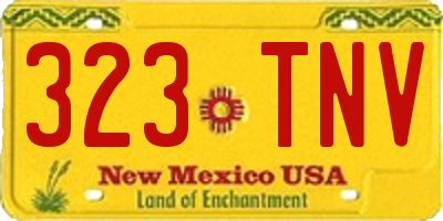 NM license plate 323TNV