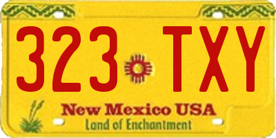 NM license plate 323TXY