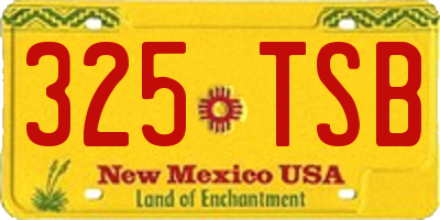 NM license plate 325TSB