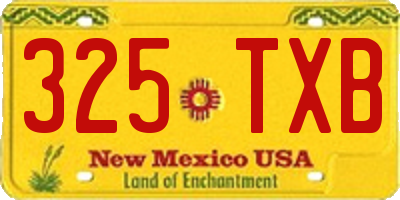 NM license plate 325TXB