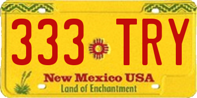 NM license plate 333TRY