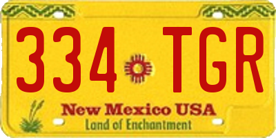 NM license plate 334TGR