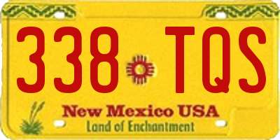 NM license plate 338TQS