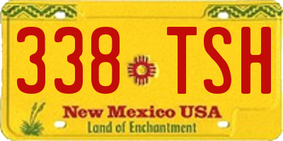 NM license plate 338TSH