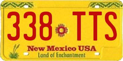 NM license plate 338TTS