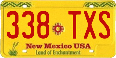 NM license plate 338TXS