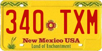 NM license plate 340TXM