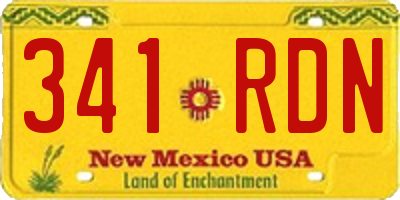 NM license plate 341RDN