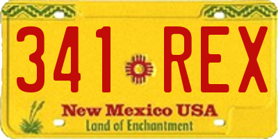 NM license plate 341REX