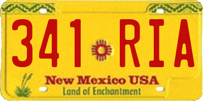 NM license plate 341RIA