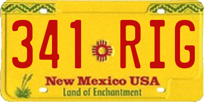 NM license plate 341RIG