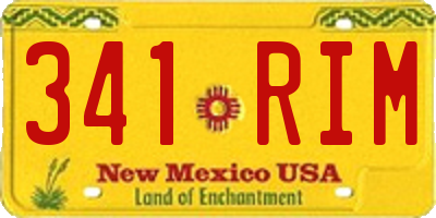 NM license plate 341RIM