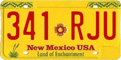 NM license plate 341RJU