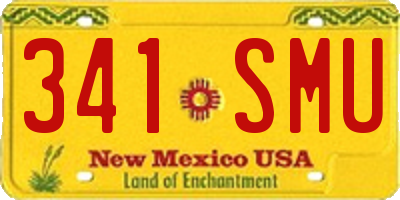 NM license plate 341SMU