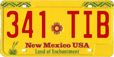 NM license plate 341TIB