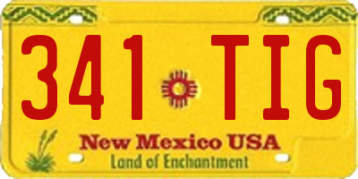 NM license plate 341TIG