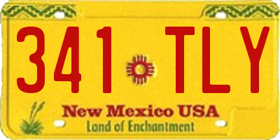 NM license plate 341TLY