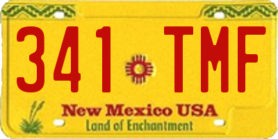 NM license plate 341TMF