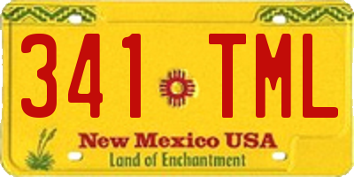 NM license plate 341TML