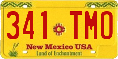 NM license plate 341TMO