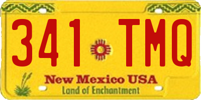NM license plate 341TMQ