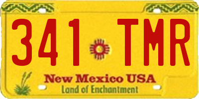 NM license plate 341TMR