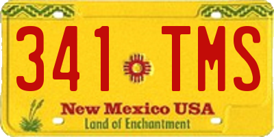 NM license plate 341TMS