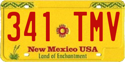 NM license plate 341TMV