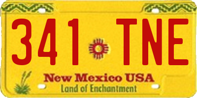 NM license plate 341TNE