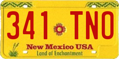 NM license plate 341TNO