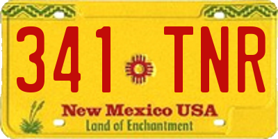 NM license plate 341TNR