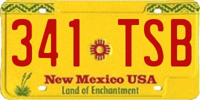 NM license plate 341TSB
