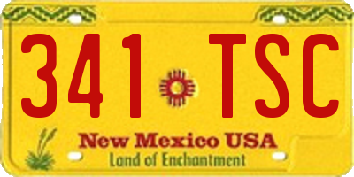 NM license plate 341TSC
