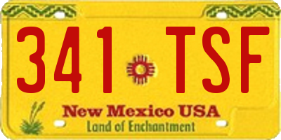 NM license plate 341TSF