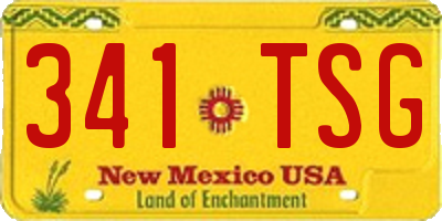 NM license plate 341TSG