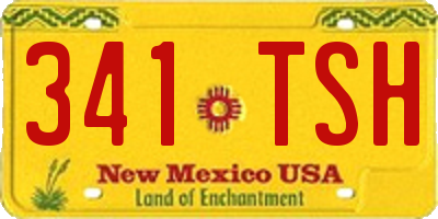 NM license plate 341TSH